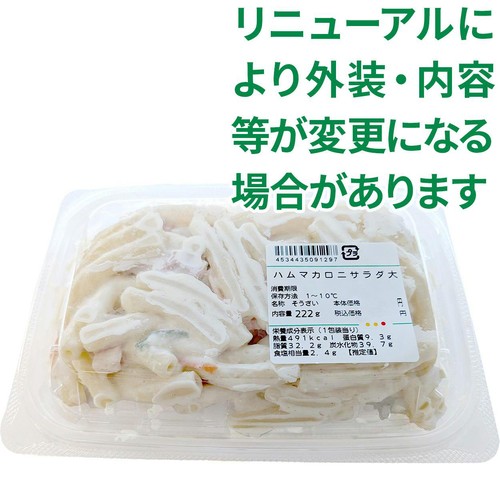 デリア食品 ハムマカロニサラダ 大 1パック(222g)