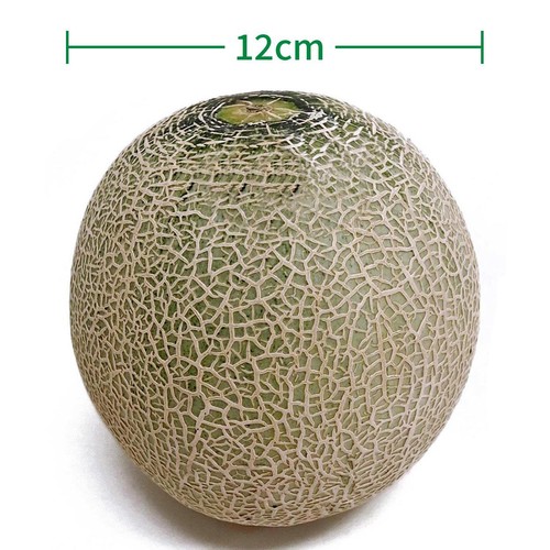 [食べごろ+] 茨城県産 糖度の見えるメロン(クインシー) 900g 1個