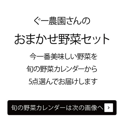 千葉県千葉市産 ぐー農園おまかせ野菜セット 5種 1袋