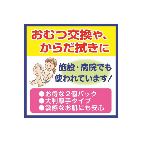 白十字 サルバ お肌にやさしいぬれタオル 60枚入 2個パック Green