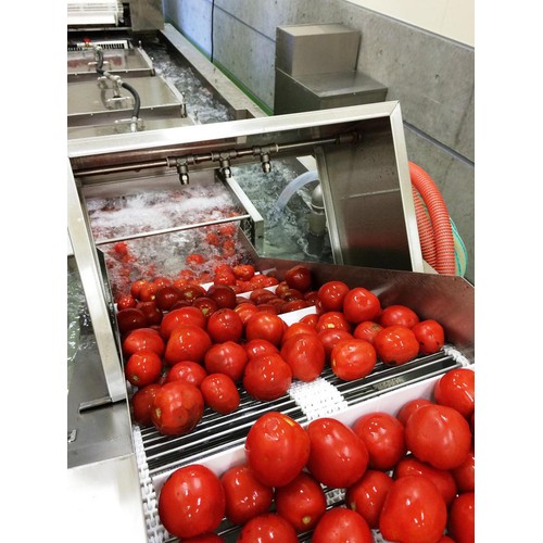 コーミ北のほたるファクトリー 完熟トマトケチャップ 320g Green Beans