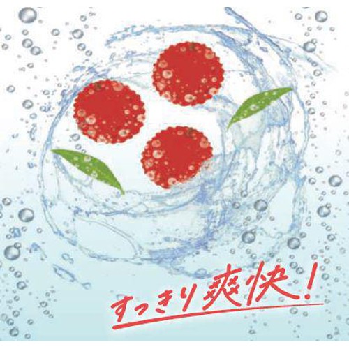 ダイドードリンコ ミスティオ 塩とライチスパークリング 410ml