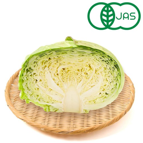 【有機】国内産 キャベツ 1/2切