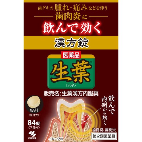 【第2類医薬品】生葉漢方内服薬 84錠