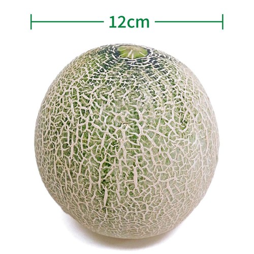 ［食べごろ+］茨城県産 糖度の見えるメロン(青肉) 900g 1個
