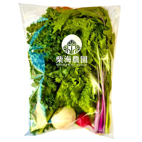 千葉県産 柴海農園 サラダセット 1袋 Green Beans | グリーンビーンズ