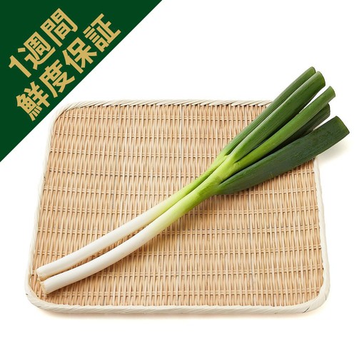 [鮮度+] 北海道産 長ねぎ 2本1袋