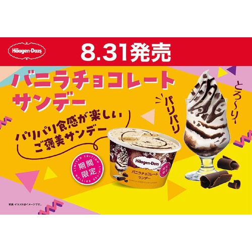 ハーゲンダッツ ミニカップ バニラチョコレートサンデー 110ml