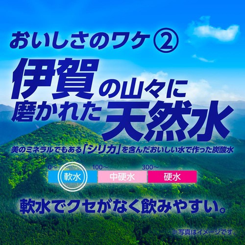 サンガリア 伊賀の天然水強炭酸水 ラベルレス 500ml x 6本