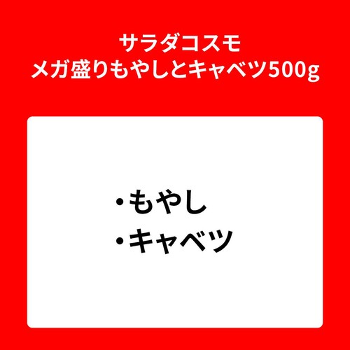サラダコスモ メガ盛りもやしとキャベツ 500g