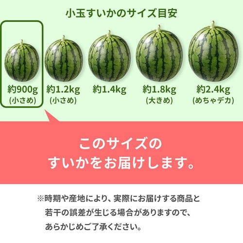 国内産 すいか 小さめ 900g 1玉