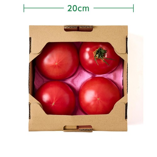 埼玉県産イオン農場 まるまる赤トマト 800g(4個)