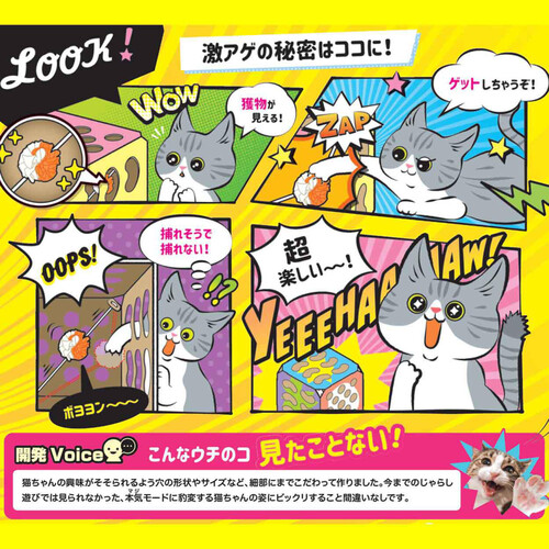 【ペット用】 ドギーマンハヤシ 猫ちゃんテンション爆アゲBOX 1個