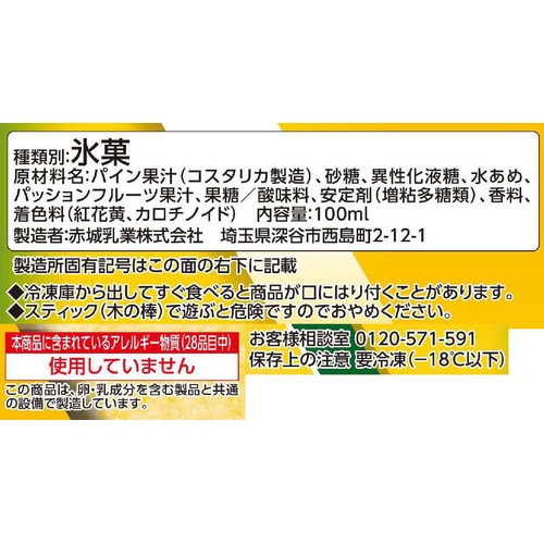 赤城乳業 大人なガリガリ君南国パイン 100ml