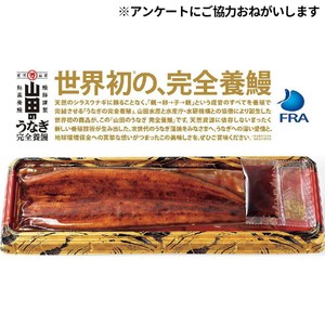 うなぎページ 冷凍】山田水産 鹿児島県産 完全養殖うなぎ蒲焼 大 1尾(131g)【数量