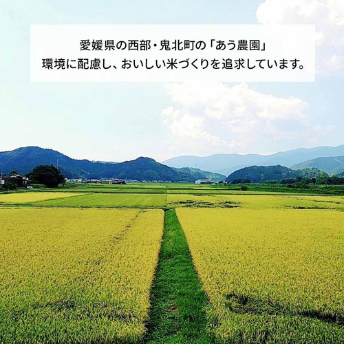 【たわわ/あう農園】 愛媛県産 プレミアムクオリティ ひめの凜 5kg