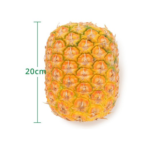 フィリピン産 ハニーグローパイナップル 1.1kg 1個