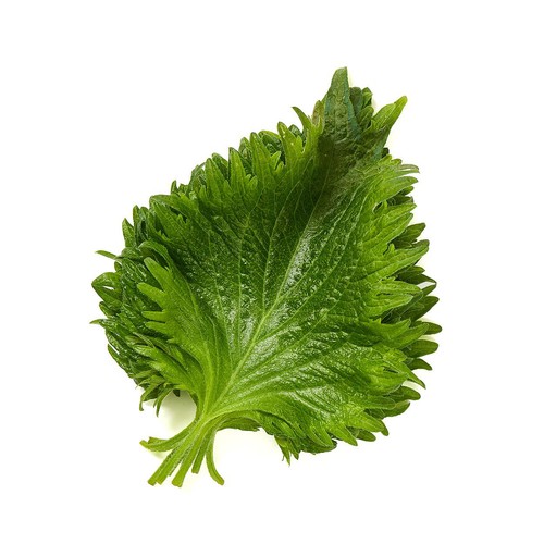 【有機】茨城県産矢澤園芸 大葉 10枚 1袋