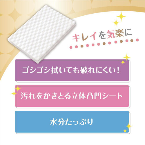 大王製紙 キレキラ!トイレクリーナー クリーンフローラル つめかえ用 20枚